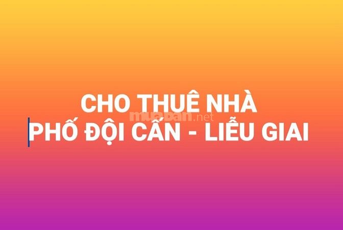 Cho thuê nhà ngõ phố Đội Cấn gần Liễu Giai - Văn Cao, ô tô vào nhà