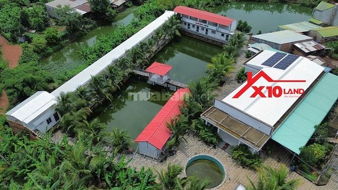 Bán Gấp 4200m2 Nhà kết hợp kinh doanh Tại Vĩnh Tân, Vĩnh Cửu chỉ 9 tỷ.