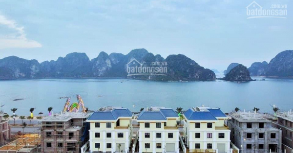 HOT! Safa Bay Cẩm Phả giá chỉ từ 3xtr/m2, lô view biển hàng ngoại giao giá tốt nhất thị trường