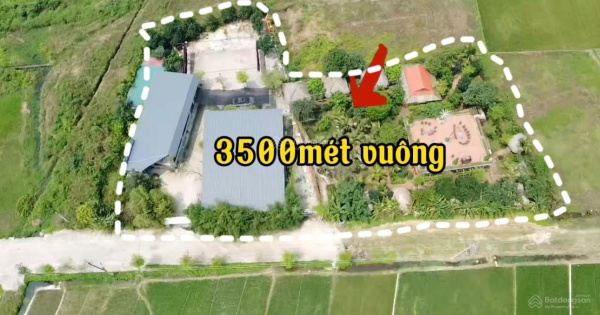 3500m2 đất kinh doanh homestay, nghỉ dưỡng, coffee, giải trí. Tại Minh Trí, Sóc Sơn, Hà Nội