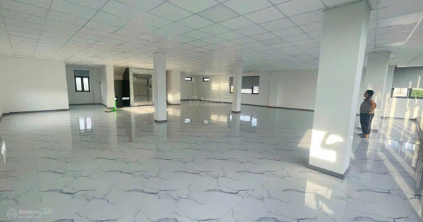 Cho thuê mặt tiền Nguyễn Thị Thập 720m2 có thang máy 300 triệu/tháng