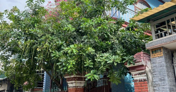 Bán nhà P. Tân Hiệp - Biên Hoà (7,8 x 20m) gần PCCC. Giá rẻ: 4tỷ990