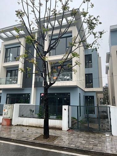 bán gấp biệt thự an vương khu đô thị dương nội nam cường dt200m2,mt10