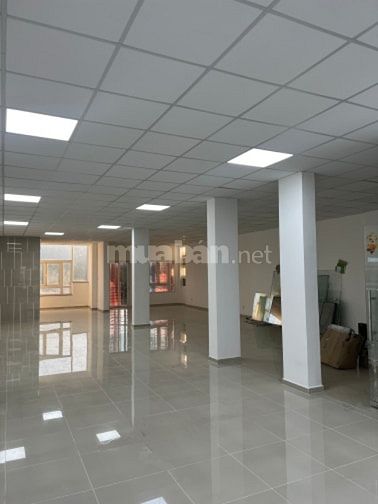 Cho Thuê Sàn 8m x18m Mặt Tiền Đường Hoà Bình P5. Quận 11