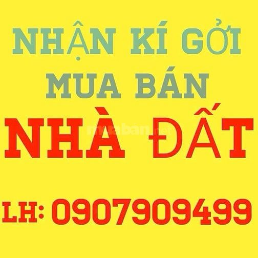 Bán nhà mặt tiền đường Huyền Quang, Quận 1