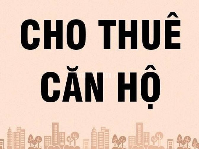 Cho thuê căn hộ cao ốc An Bình 787 Lũy Bán Bích, Tân Phú, 85m2