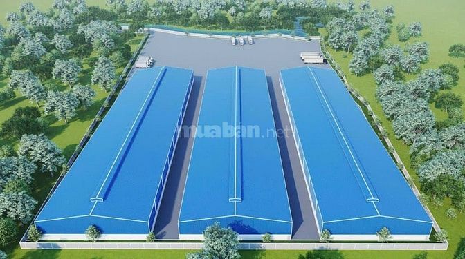 Cho thuê kho xưởng Tỉnh Lộ 10, Đức Hòa , Long An ,diện tích : 25.000m2