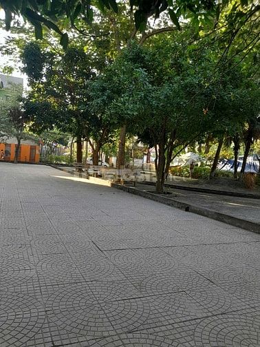 Bán căn hộ chung cư diện tích 53,5m. sổ đỏ chính chủ tại Đại mỗ,