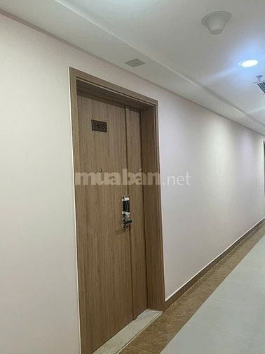 Bán gấp căn hộ tầng 8 hướng Đông, 1PN+ ViVa Plaza liền kề Phú Mỹ Hưng