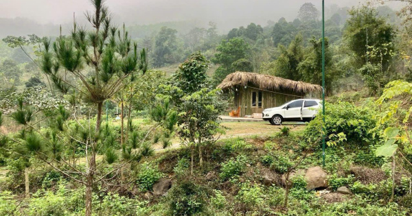 Chính chủ cần bán vườn trang trại chân núi Viên Nam Quang Tiến Hòa Bình, 3 mặt tiền, xe vào tận nơi