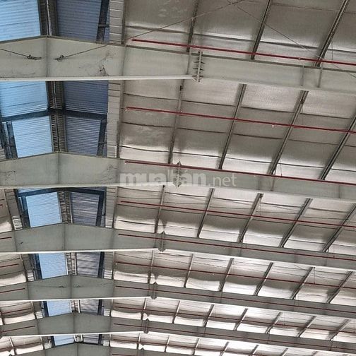 Cho thuê kho xưởng KCN Hải Sơn,Huyện Đức Hòa, Long An , KV : 11.500m2