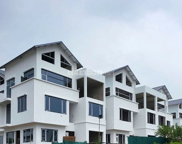 BÁN BIỆT THỰ ĐƯỜNG NGUYỄN ĐÌNH TỨ 179M2, PHÁP LÝ ĐẦY ĐỦ, GIÁ HẤP DẪN N