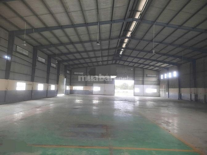 Cho thuê kho xưởng  KV:  5000m2, kho :1200m2 - Trần Văn Giàu, Bình Tân